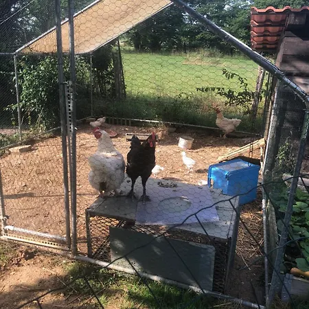 Au Chant Des Oiseaux فندق مبيت وإفطار