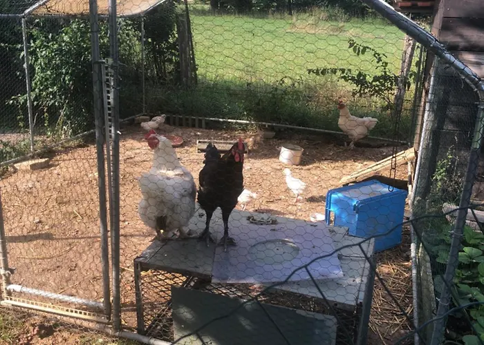 Au Chant Des Oiseaux Alojamento de Acomodação e Pequeno-almoço